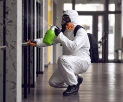 Best Forensic Mold Investigation  in Eagle Lake, MN